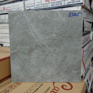 Gạch lát nền nhà vệ sinh màu ghi TTC 33205 (30×30 cm)